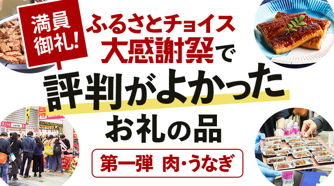 満員御礼！ふるさとチョイス大感謝祭で評判がよかったお礼の品 第一弾 肉・うなぎ