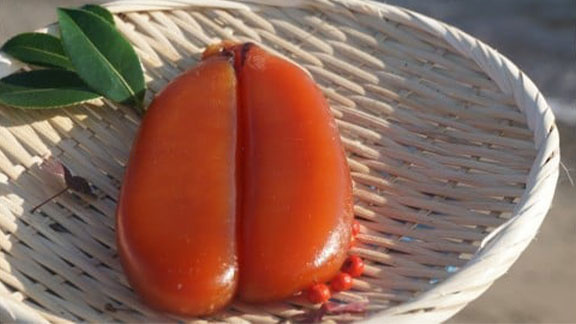 本からすみ 100g以上