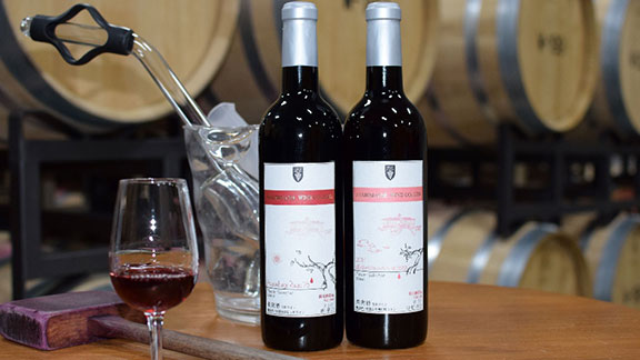 朝日町ワイン「マイスターセレクション」赤ロゼ辛口セット(720ml×2)